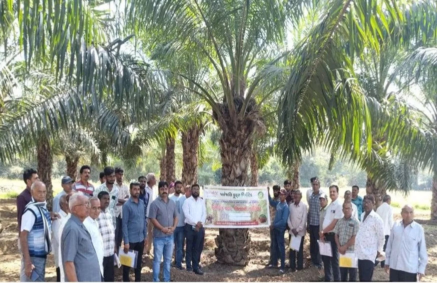 ઓઇલપામ યોજના અંતર્ગત મેગા ઓઇલપામ પ્લાન્ટેશન ડ્રાઇવ હેઠળ એક દિવસીય તાલીમ યોજાઇ